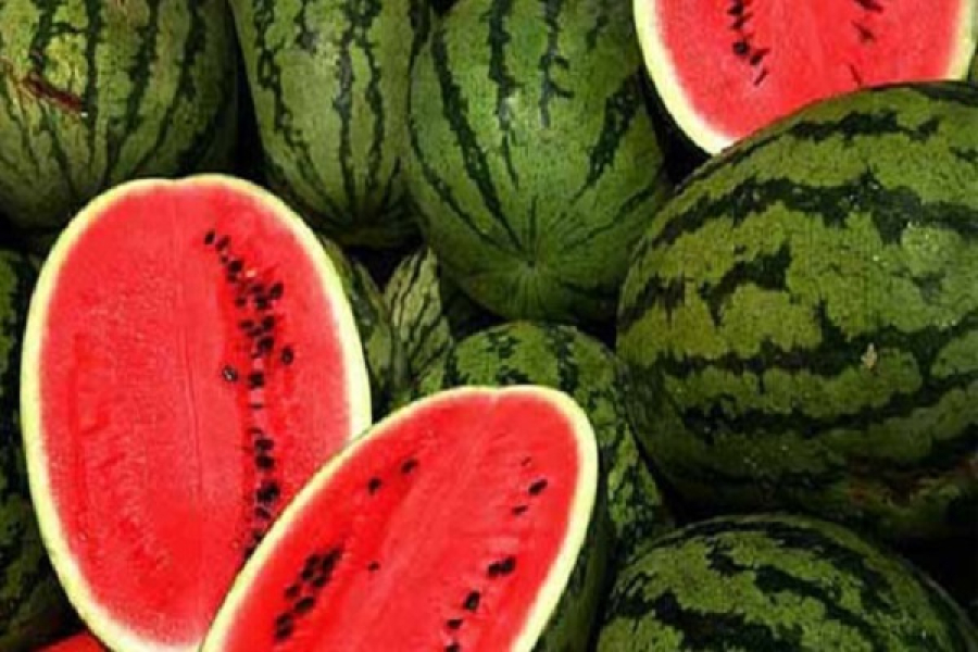 Diyarbakır Karpuz festivali