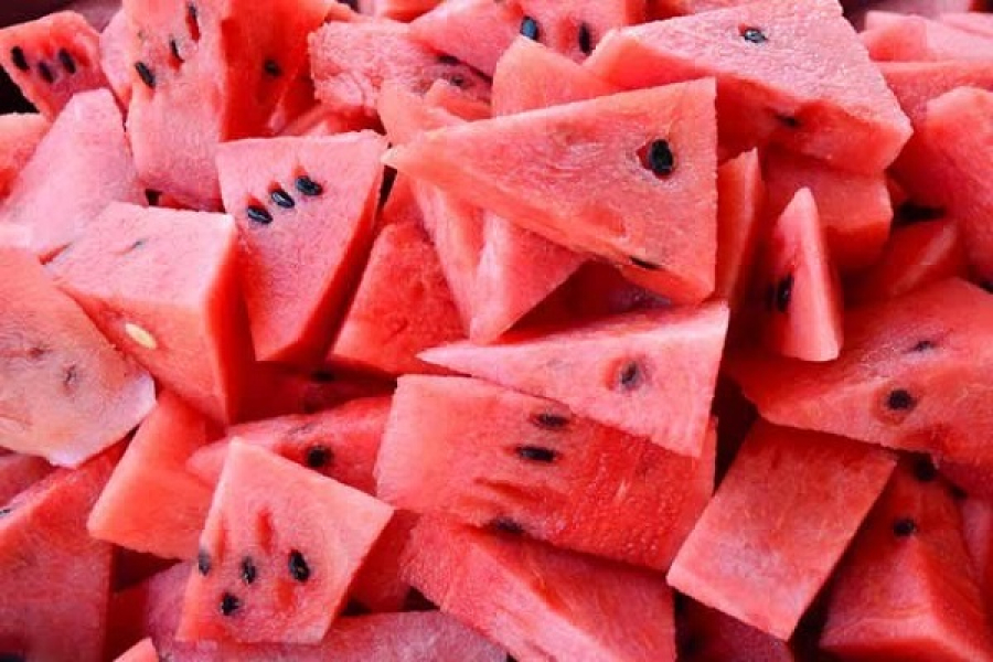 Diyarbakır Karpuz festivali